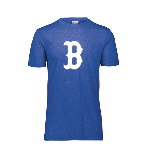 [3066.U55.S-LOGO1] Youth Ultra-blend T-Shirt (Youth S, Royal, Logo 1)
